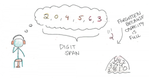 average digit span for age 4